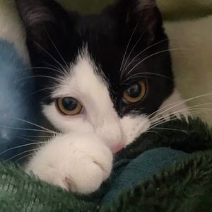 Meet your Posher, Jasmine